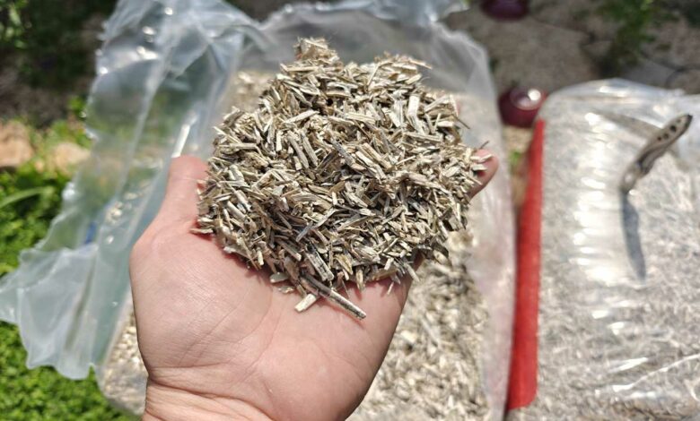 Il existe de nombreuses solutions pour le paillage au jardin dont le paillis de chanvre.