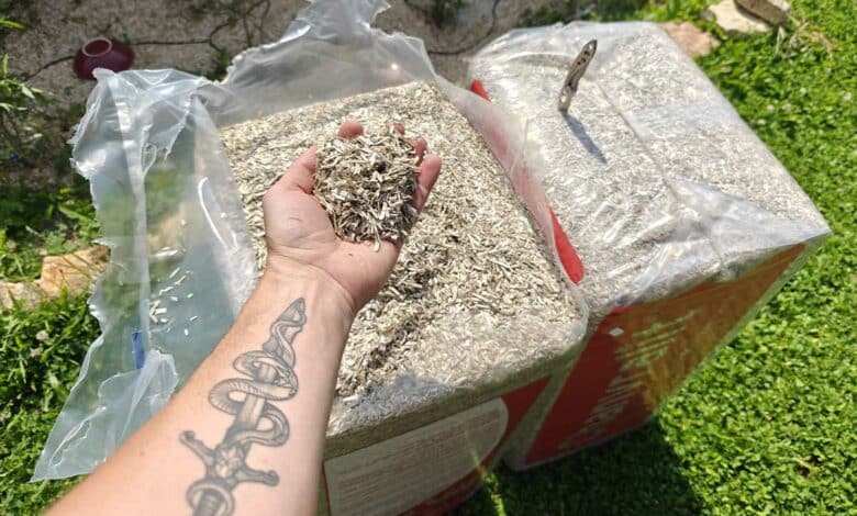 Il existe de nombreuses solutions pour le paillage au jardin dont le paillis de chanvre.