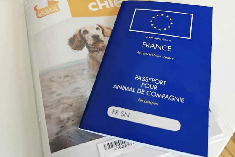 Le passeport pour animaux de compagnie est indispensable pour voyager avec votre compagnon à quatre pattes.