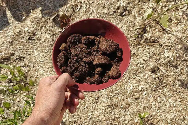 Ils fabriquent des panneaux de bois composé de marc de café.