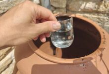 Un verre d'eau pris d'un récupérateur.