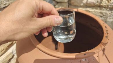 Un verre d'eau pris d'un récupérateur.