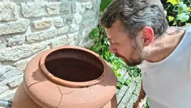 Comment éviter que l'eau de votre récupérateur de pluie ne croupisse ou soit envahie d'algues ou de moustiques ?