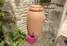 Un récupérateur d'eau de pluie.