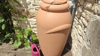 Un récupérateur d'eau de pluie.