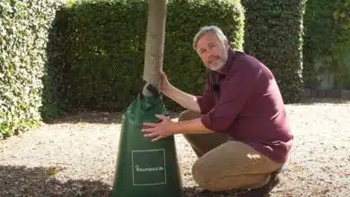 Un homme présente un sac d'irrigation.