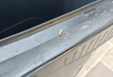 Un asticot sur une poubelle grise de la ville.