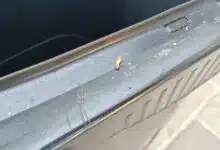 Un asticot sur une poubelle grise de la ville.