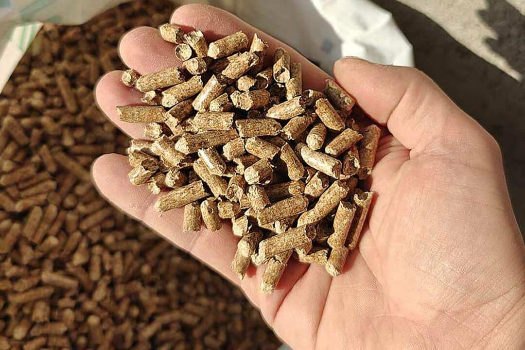 Une main tenant des pellets de bois.