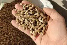 Une main tenant des pellets de bois.