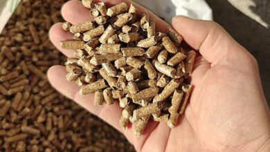 Une main tenant des pellets de bois.