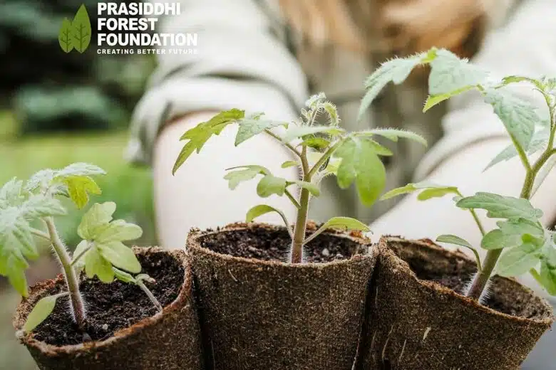 Une action qui a déjà permis de planter plus de 150 000 arbres dans 110 régions différentes.