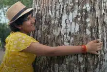 Cette jeune fille veut planter 10 millions d'arbres.