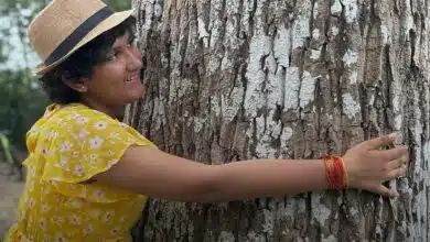 Cette jeune fille veut planter 10 millions d'arbres.