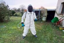 Un apiculteur qui se spécialise dans la lutte contre les nuisibles de manière écologique.