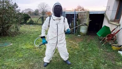 Un apiculteur qui se spécialise dans la lutte contre les nuisibles de manière écologique.