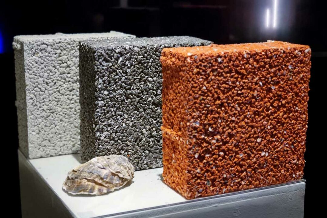 L'un des produits phares d'Alegina, le pavé drainant Vivaway fabriqué à base de coquilles d'huîtres.