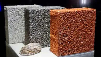 L'un des produits phares d'Alegina, le pavé drainant Vivaway fabriqué à base de coquilles d'huîtres.