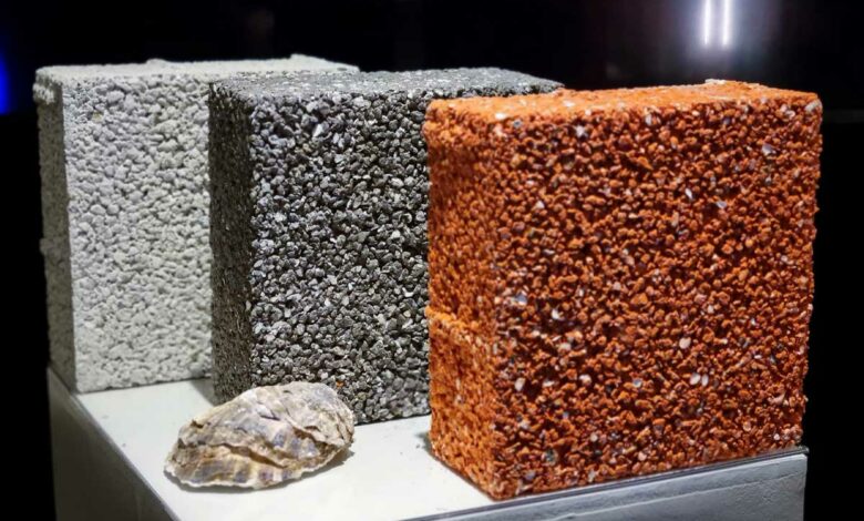 L'un des produits phares d'Alegina, le pavé drainant Vivaway fabriqué à base de coquilles d'huîtres.