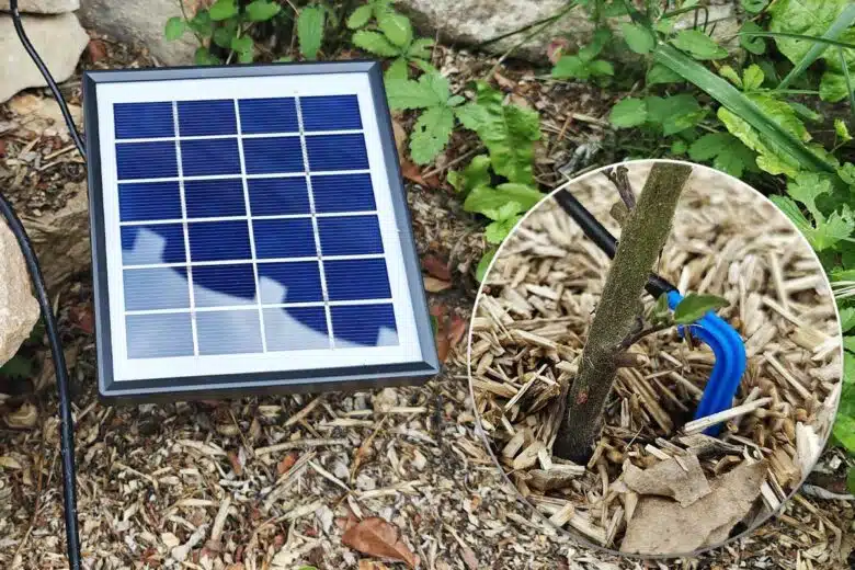 Le panneau solaire du kit d'arrosage et le goutte-à-goutte.