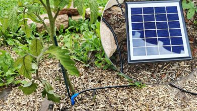 Le panneau solaire du kit d'arrosage et le goutte-à-goutte.