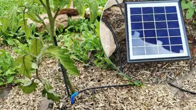 Le panneau solaire du kit d'arrosage et le goutte-à-goutte.