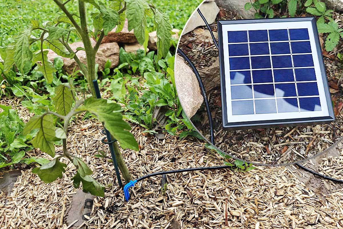 Le panneau solaire du kit d'arrosage et le goutte-à-goutte.