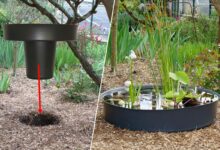 Une mangeoire en zinc repensée pour être transformée en bassin décoratif.