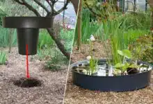 Une mangeoire en zinc repensée pour être transformée en bassin décoratif.