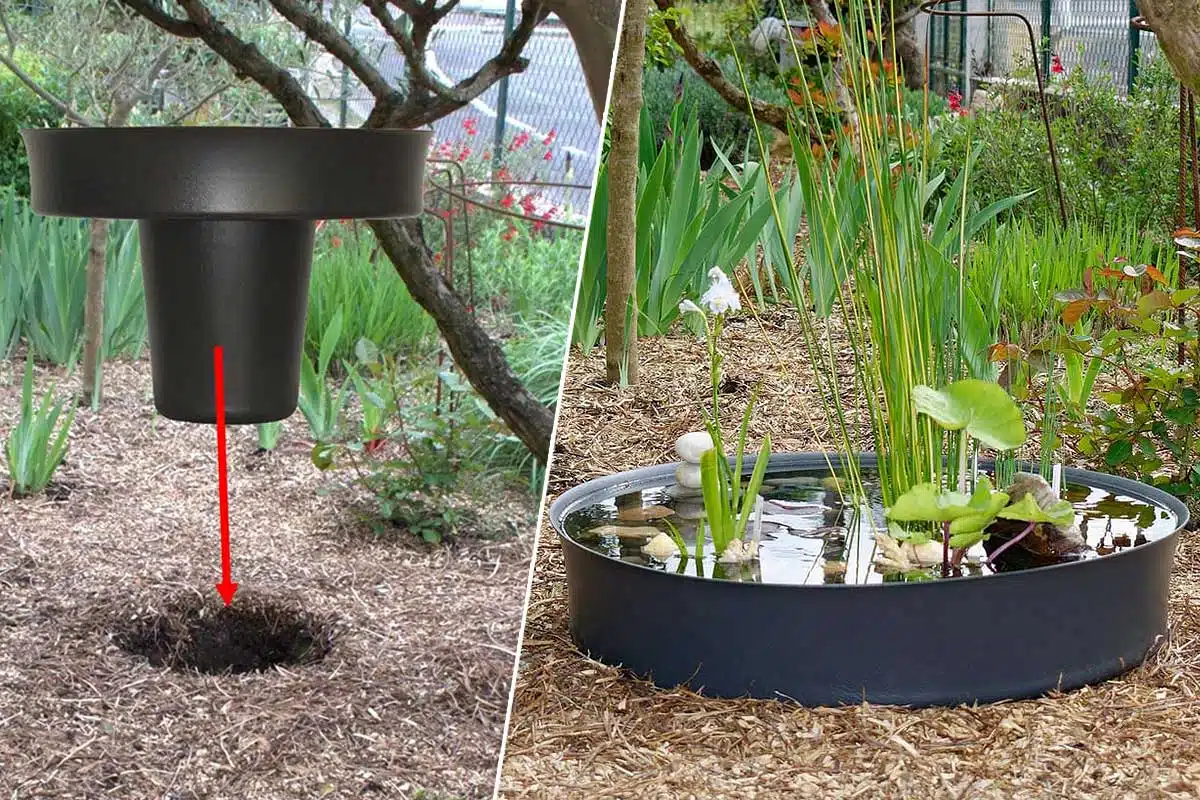 Une mangeoire en zinc repensée pour être transformée en bassin décoratif.