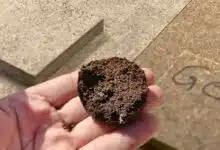 Des plateaux en bois aggloméré composé en partie de marc de café.