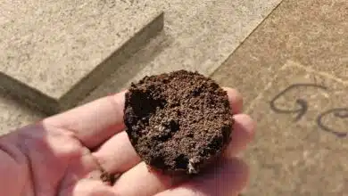 Des plateaux en bois aggloméré composé en partie de marc de café.