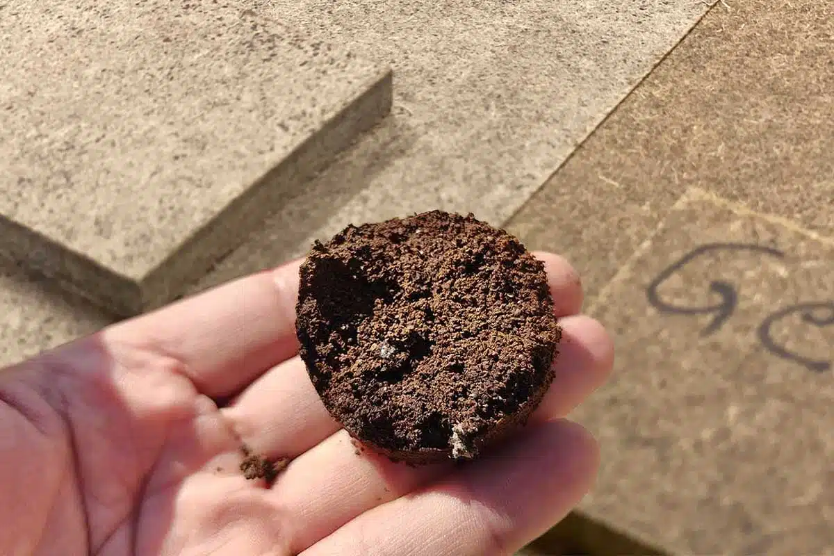 Des plateaux en bois aggloméré composé en partie de marc de café.