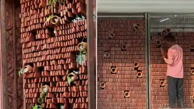 Ant Studio développe des murs à refroidissement passif en terre cuite bioinspirés.