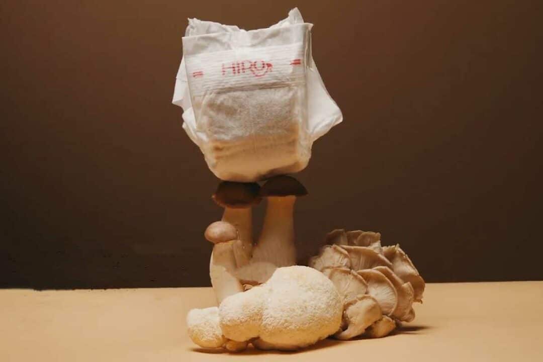 Hiro Technologies a inventé une couche biodégradable qui se transforme en terreau en 9 mois à l'aide de champignons.