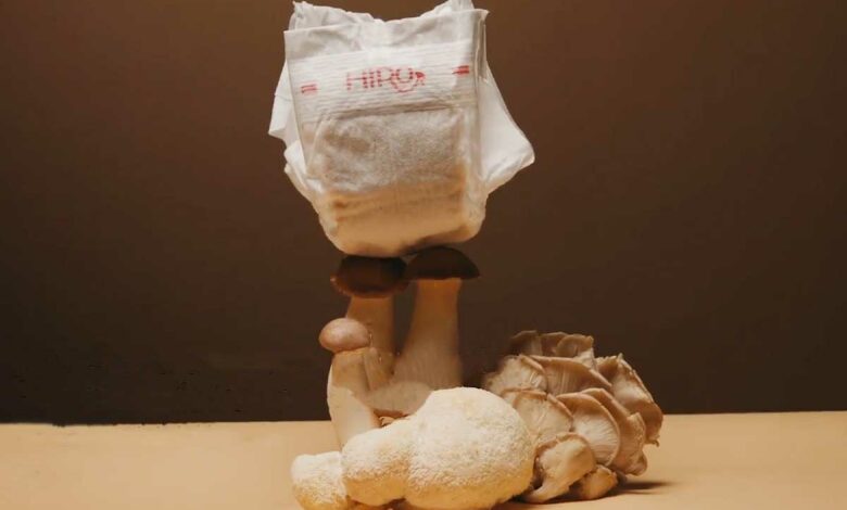 Hiro Technologies a inventé une couche biodégradable qui se transforme en terreau en 9 mois à l'aide de champignons.