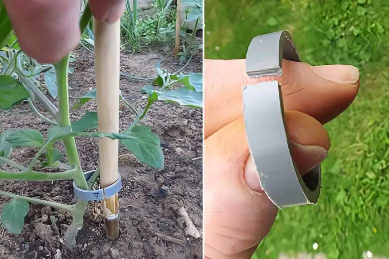 Invention n° 626 : le paillage malin avec recyclage intégré