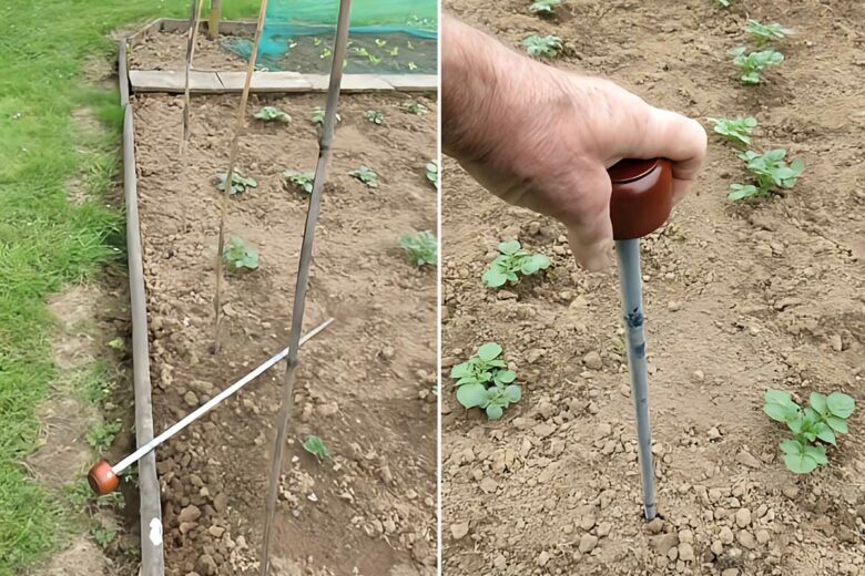 Invention n° 574 : la pique magique pour les tuteurs récalcitrants