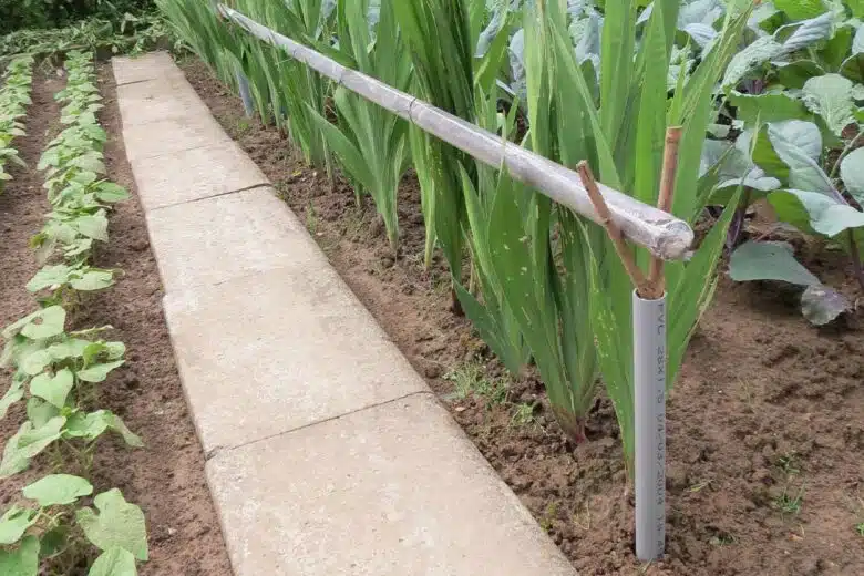 Invention n° 629 : des fleurs au potager ? Oui, mais bien attachées !