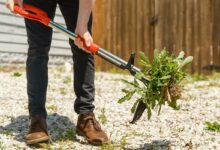 Un outil conçu pour éliminer facilement les mauvaises herbes avec un minimum d'effort.