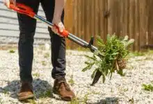 Un outil conçu pour éliminer facilement les mauvaises herbes avec un minimum d'effort.