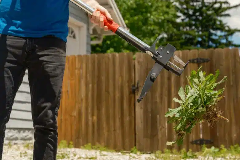 Désherbez sans efforts avec cet outil de jardinage innovant.