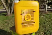 Un piège sélectif fabriqué par Jim Siclon à partir d'un bidon de 5 L.