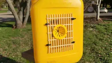 Un piège sélectif fabriqué par Jim Siclon à partir d'un bidon de 5 L.