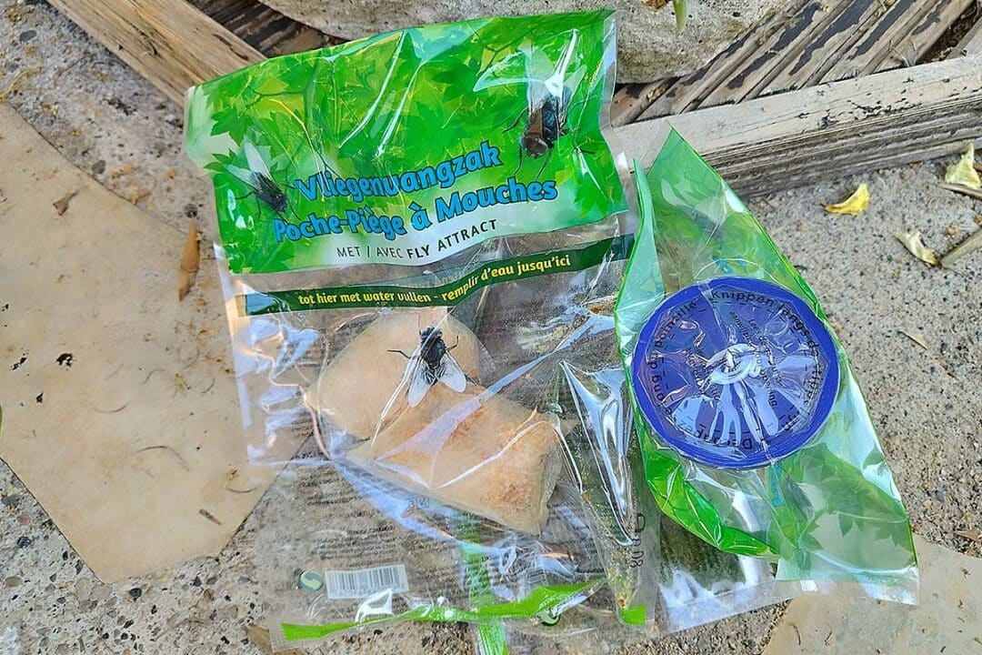 Le piège à mouches BSI et son biocide naturel sans danger pour les enfants et les animaux.