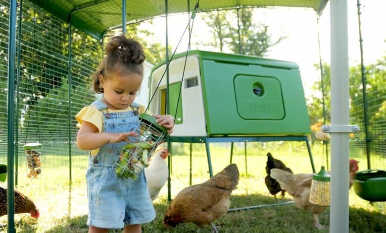 Une petite fille dans le poulailler.