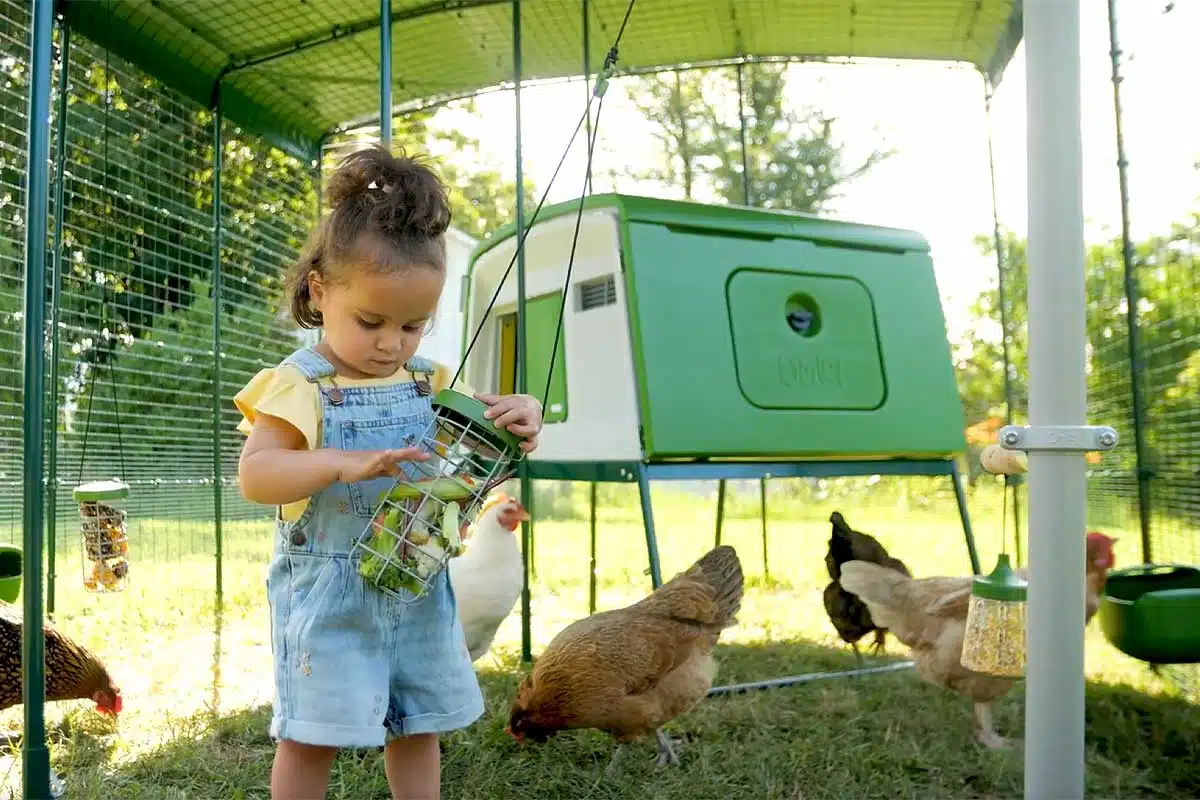 Une petite fille dans le poulailler.
