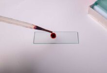 Une goutte de sang en laboratoire.