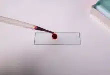 Une goutte de sang en laboratoire.