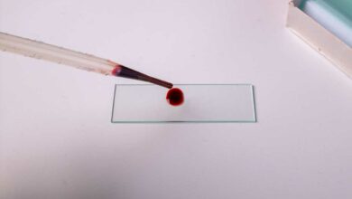 Une goutte de sang en laboratoire.